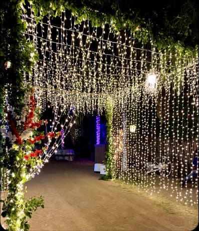 Túnel de luz en la entrada de un evento con luces brillantes y algunas flores.